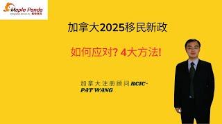 如何应对 2025移民新政