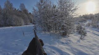 Охота с гончей зимой. Добыл зайца. Охота на тетерева и глухаря.