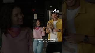 #fiestamericana  #travel #vacation #pareja #amigos #familia #dogfriendly #vacaciones