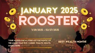 Rooster Predictions for Lunar January 2025 + Tips  #predictions