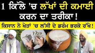 1 ਕਿੱਲੇ 'ਚ ਲੱਖਾਂ ਦੀ ਕਮਾਈ ਕਰਨ ਦਾ ਤਰੀਕਾ ! Organic Farming | Khetibadi | Kudrati kheti | sabji | Sirlek