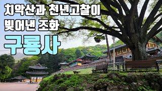 치악산과 천년 고찰이 빚어낸 조화, 구룡사 [좋은절 #27/ 강원도사찰/ 원주가볼만한곳]