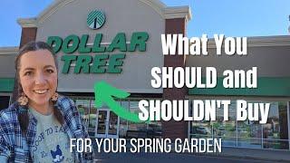 What you SHOULD and SHOULDN'T buy from DOLLAR TREE for your GARDEN