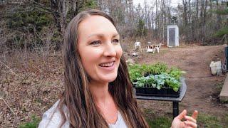 Weed Prevention, Potting Up Tomatoes & Hardening Off Seedlings