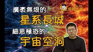 【俗說宇宙】星系長城、宇宙空洞，宇宙中那些視星系為塵埃的真正巨無霸！| Linvo說宇宙