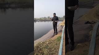 fish farming! सर्दी में मछली को खाना खिलाने की निंजा तकनीक!fish feeding in winter!