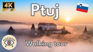 Ptuj  A walking tour with subtitles through the Oldest City in Slovenia