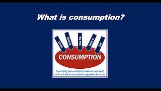 What is consumption?