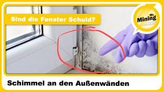 Überall Schimmel an den Außenwänden! Sind die Fenster Schuld? Was ist eure Meinung 