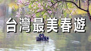 十個台灣最美的春季旅遊景點！去過五個已經很了不起，如果全部都去過那就太幸福了！【樂樂視界】