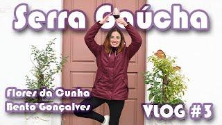 Serra Gaúcha! Flores da Cunha e Bento Gonçalves - Vlog Aprendi com o Vinho #3