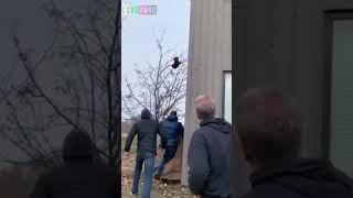 В России собрали первый урожай медведей #новости #юмор #csbsvnnq