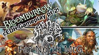 More Bloomburrow cEDH! - Glarb vs Mr. Foxglove vs Malcolm/Vialsmasher vs Dargo/Thrasios