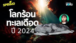 สรุปเหตุการณ์ทะเลเดือด 2024 | KEEP THE WORLD | SPRiNG