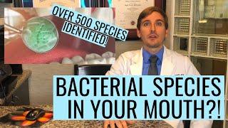 Bacterial Species In Your MOUTH?!