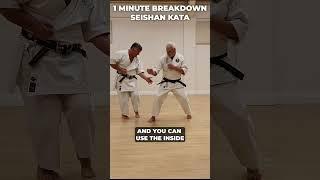 Seishan Kata: Deflection and counter, final moves #shorts