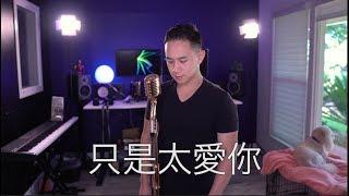 只是太愛你 (張敬軒) - Jason Chen Cover