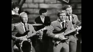 NEW  I Fought The Law - Bobby Fuller Four {Stereo} 1966