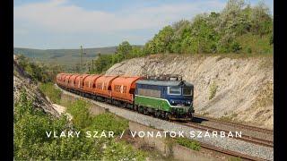 Vlaky / Trains Szár (Vonatok Szárban) (HU) 13.4. 2024