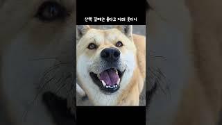삼용이의 필살기