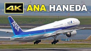 [4K] ANA 777, 787, 767, 737, A320 - Tokyo Haneda Airport 2024 / 羽田空港