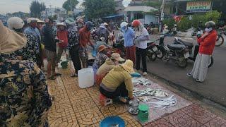 khám phá ngôi chợ ẩn trong TP Phan Thiết. Bán toàn đồ tươi...giá thì rẻ...100% thật