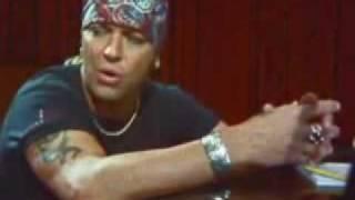 Bret Michaels - Fallen