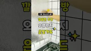 주방 오염방지 해결 꿀템