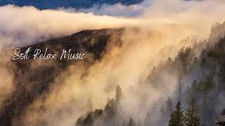 Winter Träume - Soft Relax Music Winter - Soothing Calming Sleep Meditation Study Music