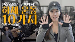 헬스를 하겠다면 꼭 알아야 하는 근육과 하체 운동 BEST 10!! 헬린이들, 이 영상 하나로 하체 끝~!