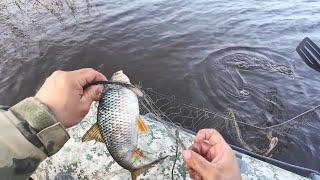 ПРОВЕРКА СЕТЕЙ В МОРОЗНОЕ УТРО. РЫБА РАЗНАЯ, ЩУКА, ЯЗИ. РЫБАЛКА НА СЕТИ С ЛОДКИ РОКИ 375.