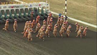 VIDEO: Dinosaurs take the track in viral T-Rex races