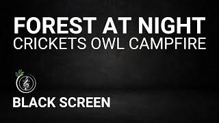 Forest Sounds at Night - Crickets, Owl, Campfire, Creek Sounds - Sleep, Relax, Yoga or Meditation