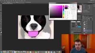 How to do graphic design in Photoshop / Illustrator with the pen tool