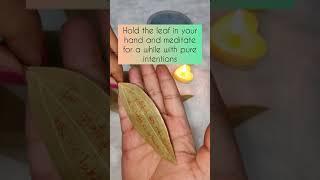 Harness the Power of Bay Leaf: Manifestation & Release | Manifest with Bay Leaves