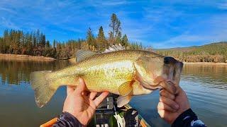 Fishing For Late Fall Bass!