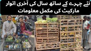 Lalukhet Birds Market Latest Update 29 December 24| Saal ki Akeri Sunday Market update