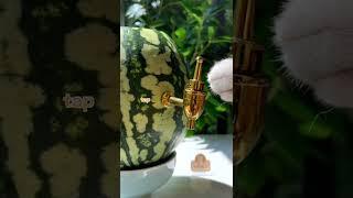 Meow Awesome Iced Watermelon Party Keg | Easy Summer Drinks | Cat Cooking-TikTok #Shorts