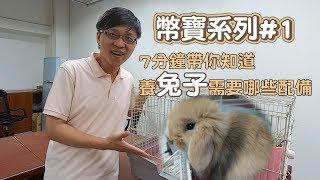 7分鐘快速帶你認識養兔子的裝備｜幣寶系列 EP.1｜ChampKnows 【冠軍知道】