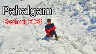 Pahalgam Kashmir Tour 2023 | Chandanwari | Betab Valley | Aru Valley | Mini Switzerland |Sledge Ride