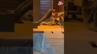 Porkanda Singam  Yaar kandu anjum  | Ulaganayagan Kamal haasan doing 26 push-up in Vikram shoot