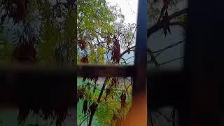 Hamara Hostel Room #viralvideo #medicalstudent #trendingvideo #shorts #reels #viralshorts