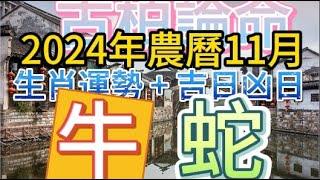 【古柏論命每月運勢+吉日凶日】2024年農曆11月(陽曆12/1 ~ 12/30)生肖運勢分享 -   牛＋蛇