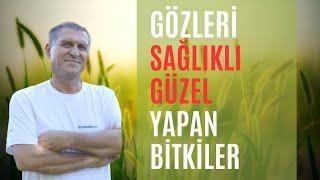 GÖZE ve GÖZLERE İYİ GELEN BESİNLER GÖZE EN İYİ GELEN BİTKİ VİTAMİNLER MEYVELER