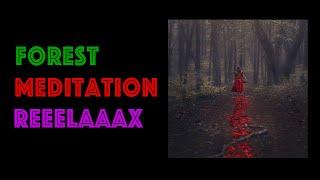 Vancouver Island Forest Meditation