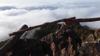 subindo o ponto mais alto do Pico da Cruz com cerca de 1.585 metros de altitude.