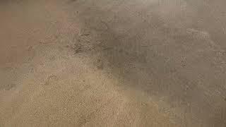 Carpet cleaning dirty carpet in Kettering 12 02 22