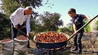 Harvesting HAZELNUTS | Sweet Grandma Maked Traditional Hazelnuts Sweets | Farm to Table