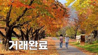 김천시 대항면 복전리 (대지 58평 주택 18평 수리 잘된 집 매매가  5천만원)