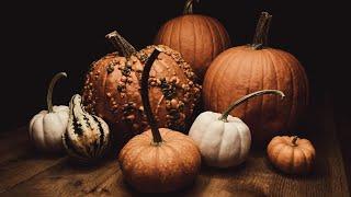 Funkin Out of Your Gourd - Rat Man Bob